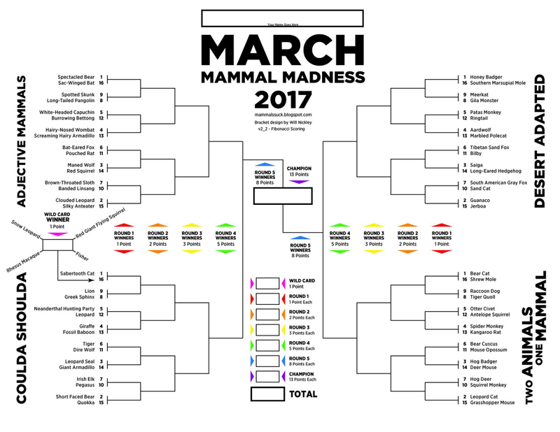 The #2017MMM bracket via @2017MMMletsgo.